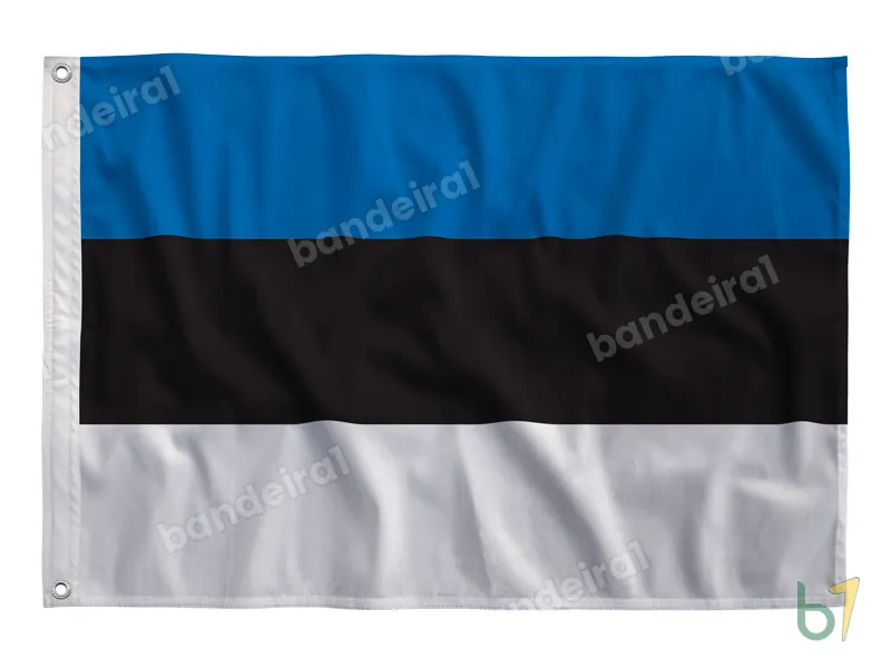 Bandeira da Estônia — poliéster — vista frontal
